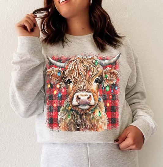 Plaid Christmas Highland D/S