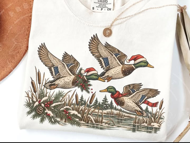 Christmas Ducks