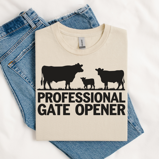 WS Professional Gate Opener